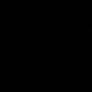 Meet your Posher, Montrell